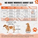 Neįgaliųjų vežimėlis augintiniams (L) - Image 3