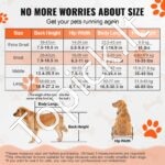 Neįgaliųjų vežimėlis augintiniams (S) - Image 3