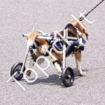 Neįgaliųjų vežimėlis augintiniams (S) - Image 8