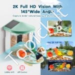 Išmanioji paukščių lesyklėlė su kamera 2K HD 2x saulės moduliai, žalias - Image 3