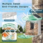 Išmanioji paukščių lesyklėlė su kamera 2K HD 2x saulės moduliai, žalias - Image 6