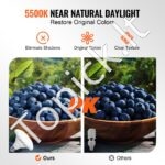 Softbox apšvietimo rinkinys 30W 5500K LED - Image 3