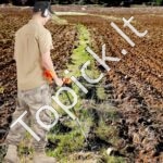 Metalo detektorius 20 cm ritė, tikslus ekranas, aliuminio kotas (96-124 cm) - Image 3