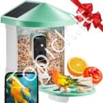 Išmanioji paukščių lesyklėlė su kamera 2K HD 2x saulės moduliai, žalias