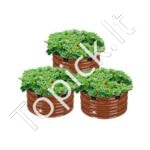 Apvalios sodo lysvės 3vnt 590x265mm