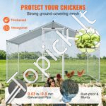 Didelis metalinis paukščių aptvaras  2 x 3 x 2 m su stogu - Image 2