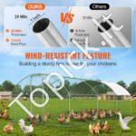 Metalinis paukščių aptvaras 3x5,88x1,99 m - Image 2