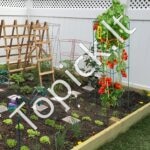 Augalų atraminiai narvai daržovėms/vaisiams/gėlėms 117x30x30 cm 10 vnt - Image 8