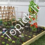 Augalų atraminiai narvai daržovėms/vaisiams/gėlėms 117x30x30 cm 10 vnt - Image 8