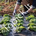 Kraštovaizdžio - piktžolių audinys 1 x 50 m - Image 7