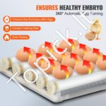 Kiaušinių inkubatorius, automatinis kiaušinių sukimas 12 vnt - Image 4