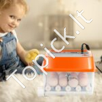 Kiaušinių inkubatorius, automatinis kiaušinių sukimas 12 vnt - Image 8