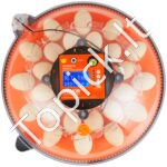 Kiaušinių inkubatorius, automatinis kiaušinių sukimas 24 vnt - Image 8