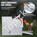 Automatinis maisto lesintuvas paukščiams 11,34 kg - Image 3