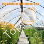 Šiltnamio polietileno plėvelė 4,9 x 7,6 m , 0,15 mm - Image 2