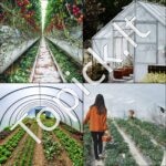 Šiltnamio polietileno plėvelė 6 x 8,5 m , 0,15 mm - Image 7