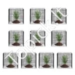 Augalų narvai apsaugai nuo gyvūnų 305x305x305mm 10 vnt - Image 8