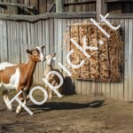 Gyvūnų pašaro ėdžios/futeriavimo lovelis 650x200x585mm 2 vnt - Image 7