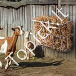 Gyvūnų pašaro ėdžios/futeriavimo lovelis 597x150,18x500,43 mm - Image 8