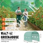 PE Šiltnamis augalams/daržovėms 345x195x192cm žalias - Image 4