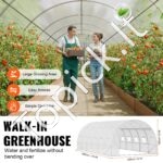 PE Šiltnamis augalams/pomidorams/daržovėms 590x295x198cm baltas - Image 4