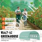 PE Šiltnamis augalams/pomidorams/daržovėms 590x295x198cm žalias, 12 langų - Image 4