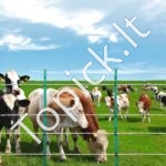 Elektrinio piemens viela 800 m | Nešiojama HDPE viela su 54 kg atsparumu tempimui - Image 7