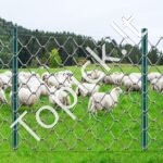 Metalinės tvoros stulpai 10 vnt 91,44 cm - Image 7