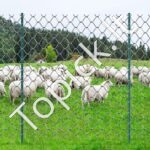 Metalinės tvoros stulpai 10 vnt 182,88 cm - Image 8