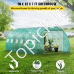 PE Plėvelinis šiltnamis 6,1x3x2,1 m, 12 tinklelio langai - Image 2