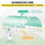 PE Plėvelinis šiltnamis 6,1x3x2,1 m, 12 tinklelio langai - Image 3