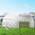 PE Plėvelinis šiltnamis 6,1x3x2,1 m, 12 tinklelio langai - Image 8