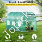 PE Plėvelinis šiltnamis 3 x 2,1 x 2,1 m, 6 tinklelio langai - Image 2