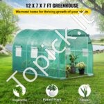 Plėvelinis šiltnamis 3,5 x 2x 2m, 6 tinklelio langai - Image 2