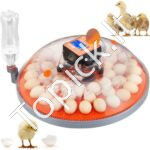 Kiaušinių inkubatorius, automatinis kiaušinių sukimas 48 vnt