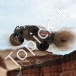Nuotolinio valdymo 1:14 visureigis 4WD – greitis, galia ir universalumas - Image 2