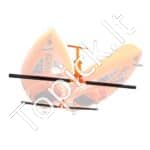 Kajakų laikiklis su tvirtinimu prie lubų – talpina 2 kajakus, reguliuojamas aukštis, tvirta plieninė konstrukcija