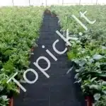 Tvirtas sodo audinys nuo piktžolių 1,8 × 76 m – juodas, ~140 g/m² (4,1 oz/yd²) - Image 3