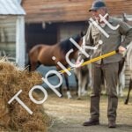 5 dantų komposto ir šieno šakė su stiklo pluošto kotu – 145 cm ilgio - Image 8