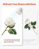 Baltos dirbtinės rožės, 120 vnt. - Image 5