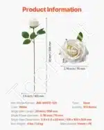 Baltos dirbtinės rožės, 120 vnt. - Image 7