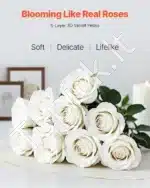 Baltos dirbtinės rožės, 120 vnt. - Image 2