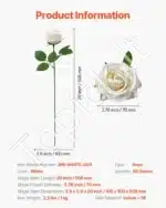 Baltos dirbtinės rožės, 60 vnt. - Image 7