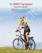 Bešepetėlis 350 W 24 V elektrinis variklis su valdikliu – 3000 aps./min - Image 4