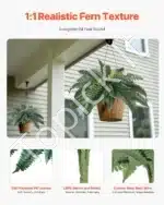 Dirbtinis Bostono papartis – 2 vnt., 30 šakų, 80–90 cm - Image 3