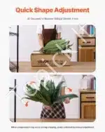 Dirbtinis Bostono papartis – 2 vnt., 50 šakų, 110–120 cm - Image 6