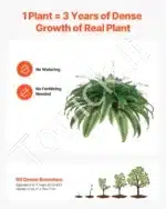 Dirbtinis Bostono papartis – 80 šakų, 95–105 cm - Image 4