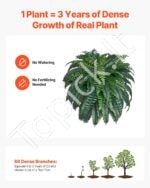 Dirbtinis Bostono papartis – 88 šakos, 110–120 cm - Image 4