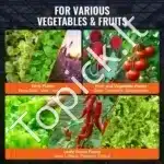 Hidroponinė DWC sistema – giluminės vandens kultūros rinkinys su 4 kibirais (20 L kiekvienas) ir oro siurbliu – 30 x 30 x 38 cm - Image 6