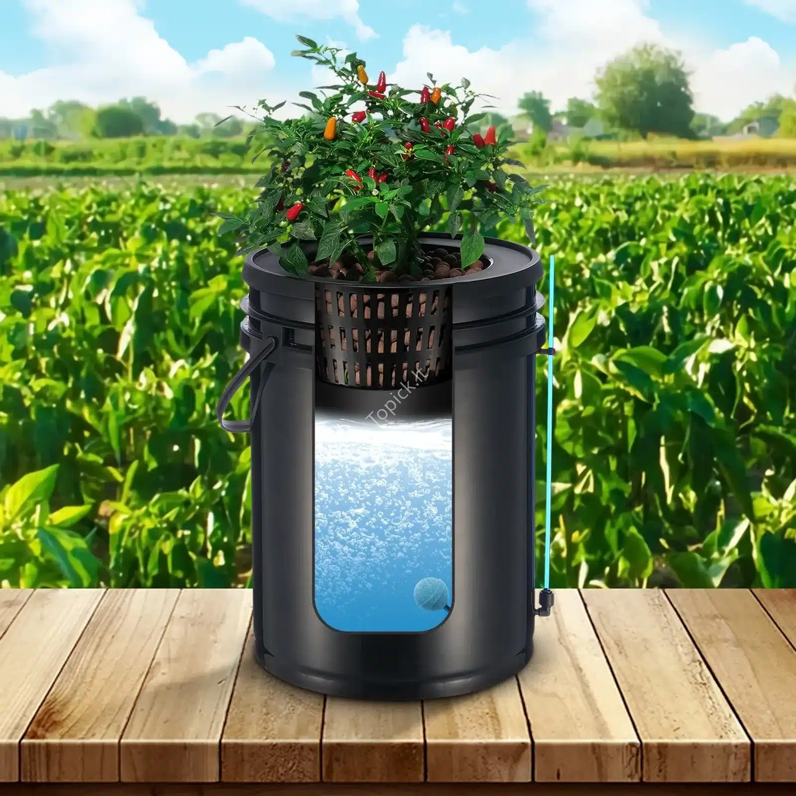 Hidroponinis daiginimo rinkinys – giluminės vandens kultūros sistema (DWC) su 4 kibirais po 20 L ir oro siurbliu – 30 x 30 x 38 cm (3) Hidroponinis daiginimo rinkinys – giluminės vandens kultūros sistema (DWC) su 4 kibirais po 20 L ir oro siurbliu – 30 x 30 x 38 cm - Image 8